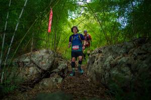 BIB: 
                            <button type="button" onclick="openModal(22089741)" class="btn btn-primary btn-sm float-right btn-popup" data-toggle="modal" data-target=".modal-high-quality">
                        <i class="fas fa-shopping-cart"></i> Add to Cart
                    </button>
                                            <button type="button" onclick="isThisMe(22089741, true)" class="btn btn-success btn-sm float-right btn-popup btn-isme hidden" data-toggle="tooltip" data-placement="bottom" title="นี่คือรูปของคุณใช่ไหม คลิกที่นี่เพื่อเอาเข้าอัลบั้ม">
                        <i class="fas fa-plus"></i> Add to album
                    </button>
                    <button type="button" onclick="isThisMe(22089741, false)" class="btn btn-warning btn-sm float-right btn-popup btn-isnotme hidden">
                        <i class="fas fa-ban"></i> Remove from album
                    </button>